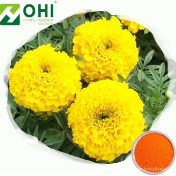 Marigold Flower Extract Lutein Powder